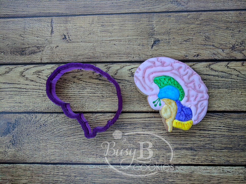 Brain Cookie Cutter and Fondant Cutter and Clay Cutter