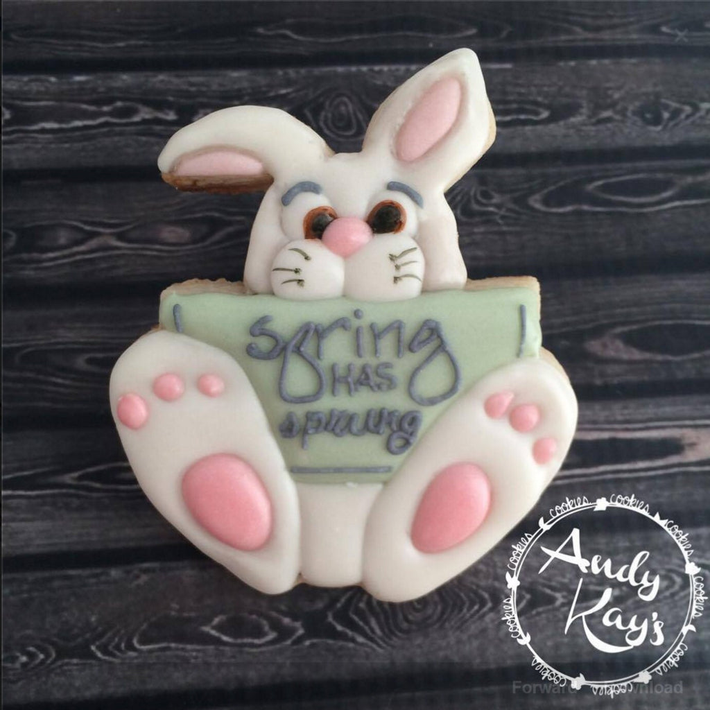 Harper the Hopper Bunny Rabbit Cookie Cutter and Fondant Cutter and Clay Cutter